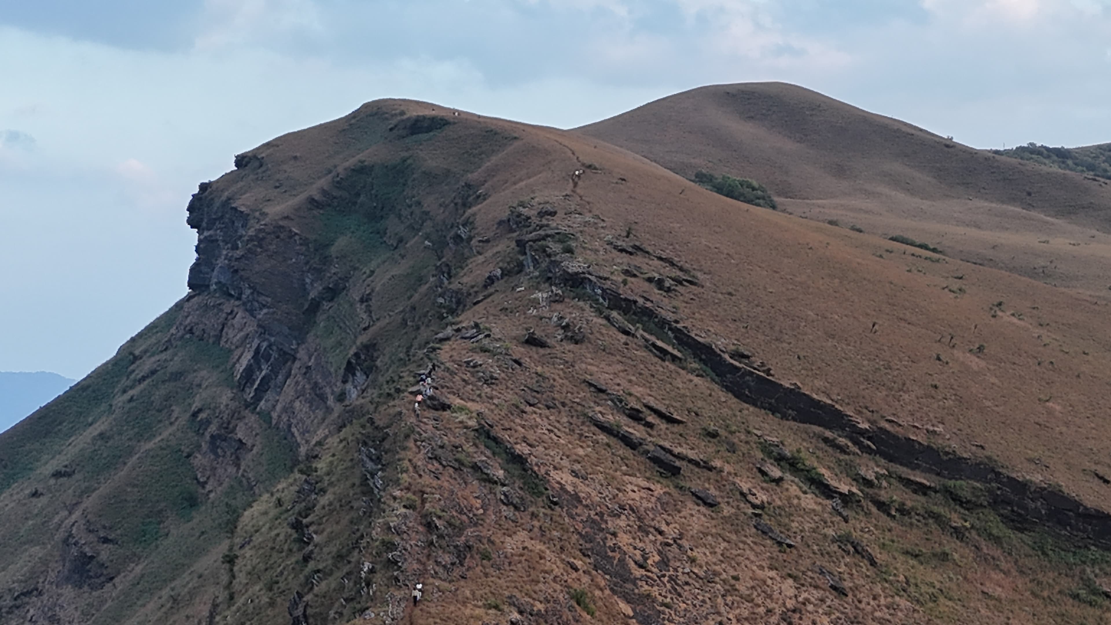Z point trail