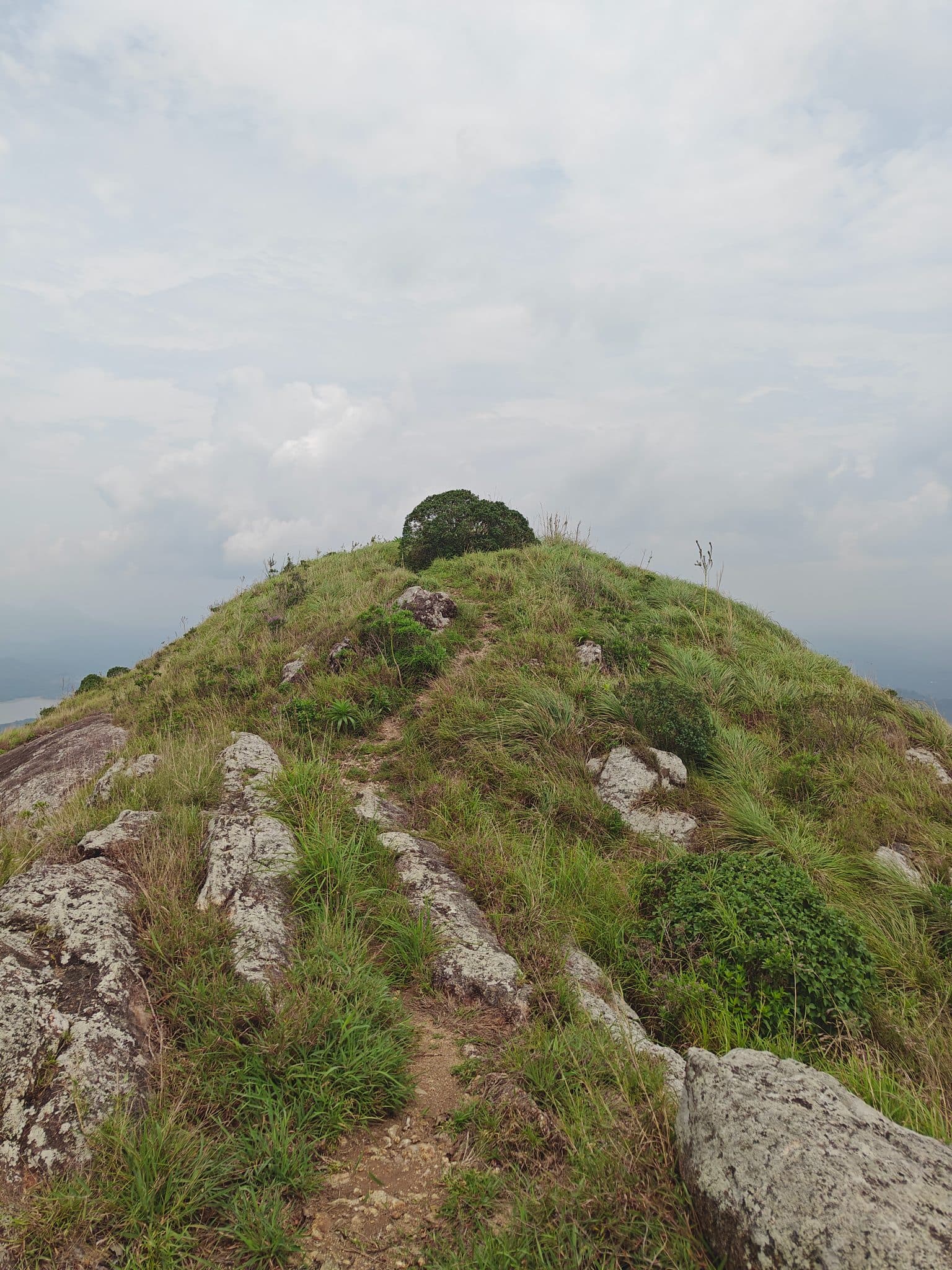 Kondaketti mala trail