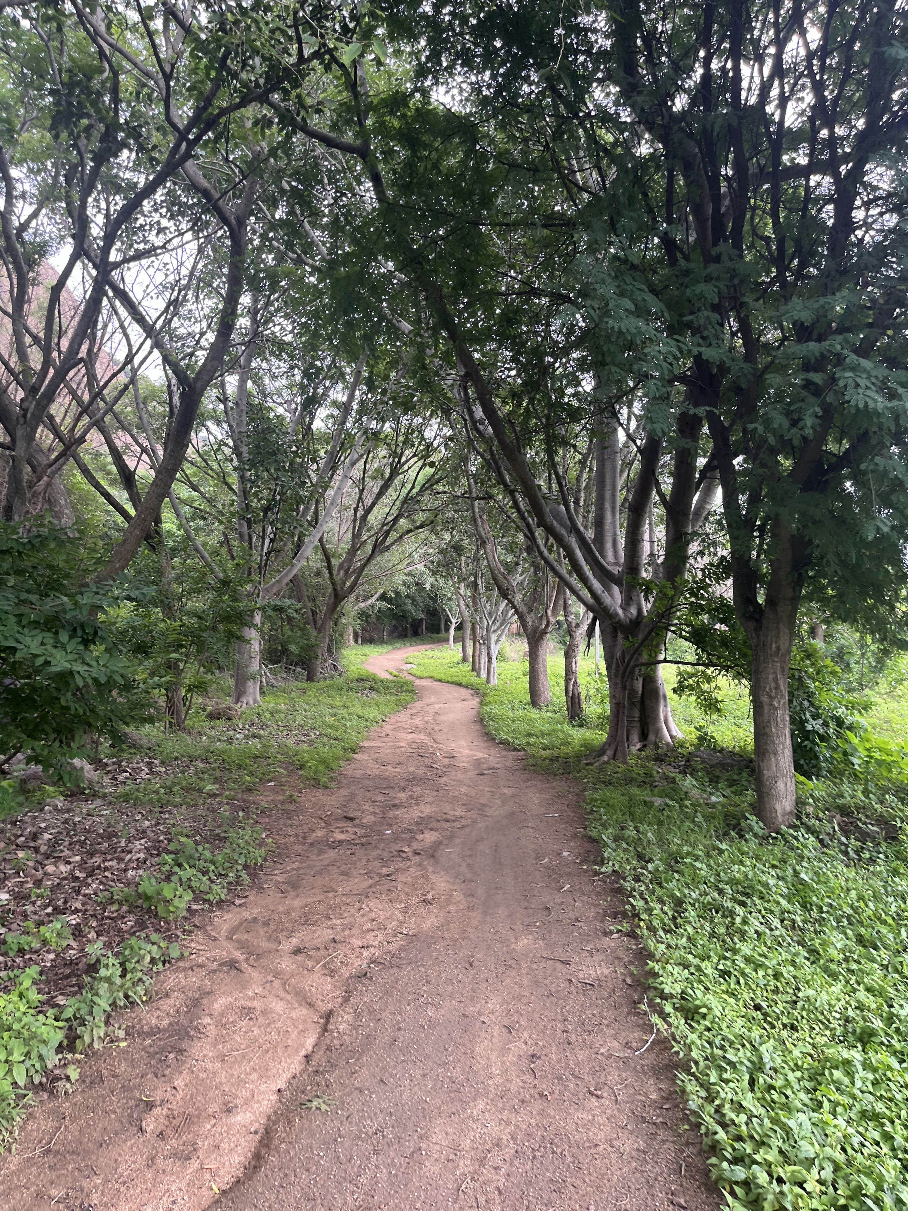 Kunagalu betta trail