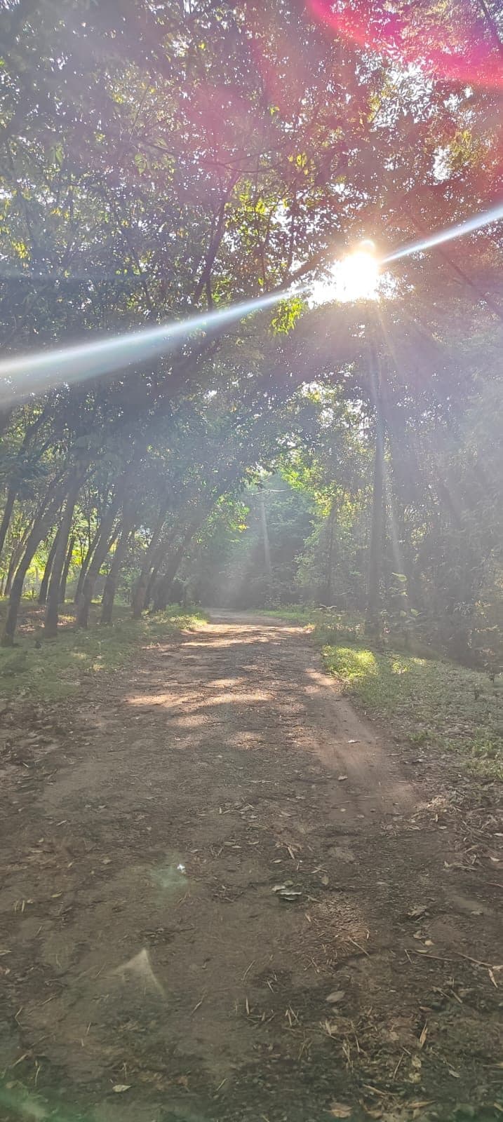 Kalikesam - Maramalai trail