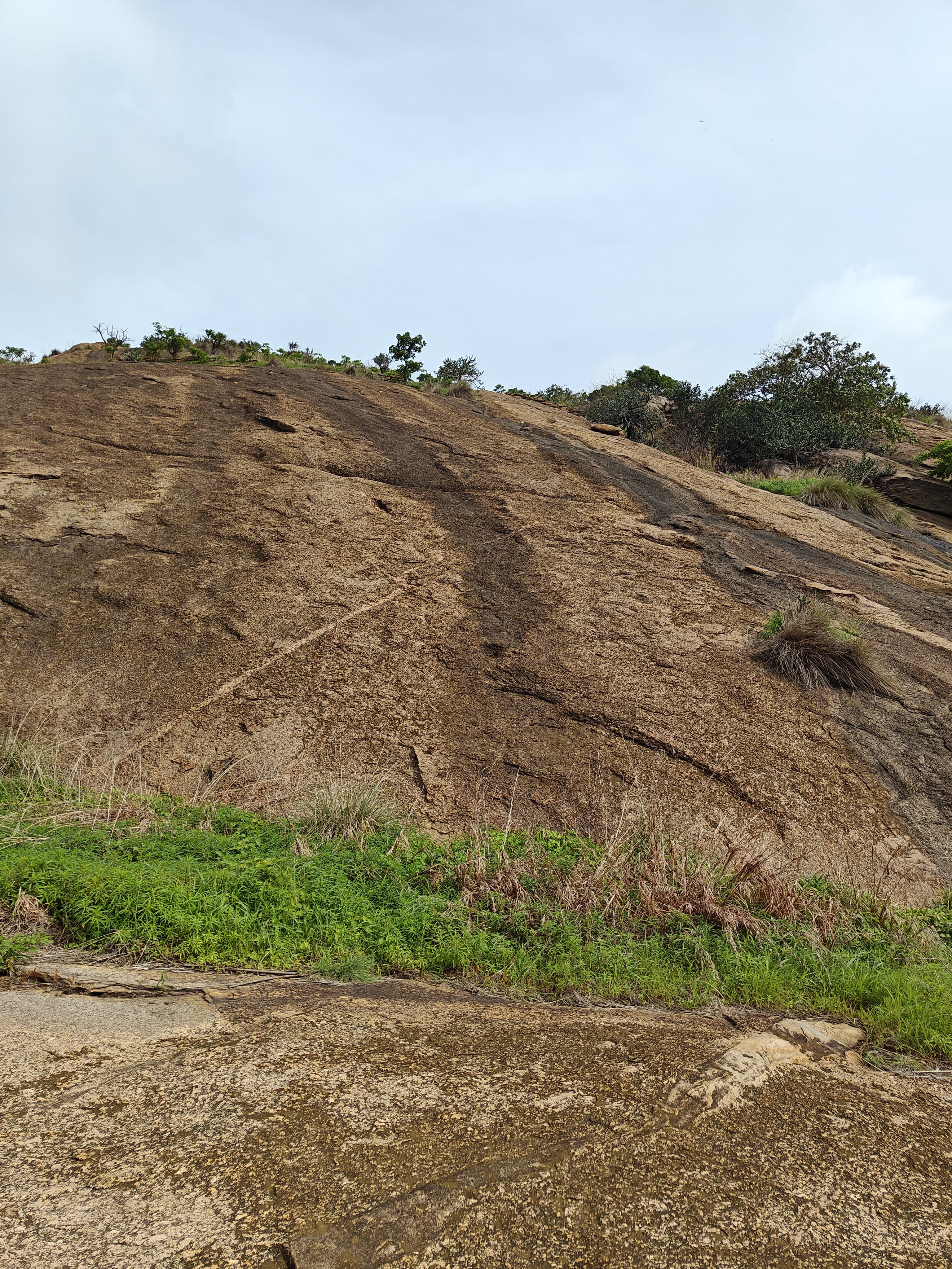 Mutturayaswamy Gudi Betta trail