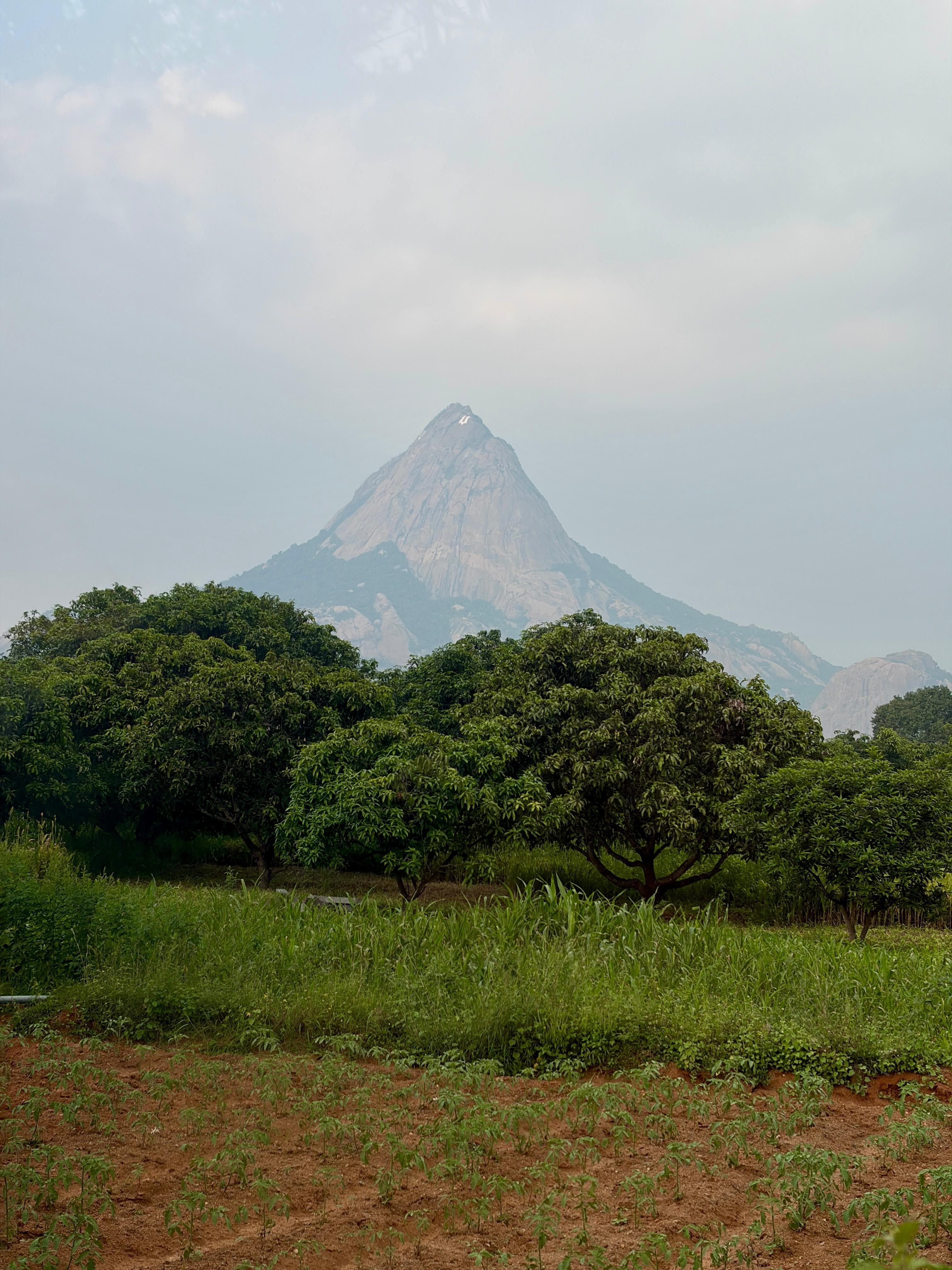Periyamalai trail